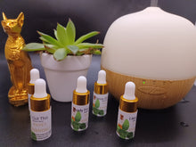 Load image into Gallery viewer, Focus On Point Diffuser Oil
