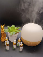 Load image into Gallery viewer, I Am Love Diffuser Oil
