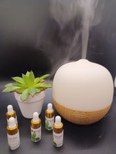 Load image into Gallery viewer, Focus On Point Diffuser Oil
